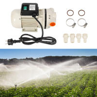 Bomba de Diagrama 230 V Autocebante, 34 l/min, Conexiones, Bomba de Agua - details 8