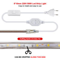 GAHADA Tira de LED Flexible 220V 60LEDs/m Iluminación y Decoración Impermeable con Enchufe de Interruptor EU - details 2