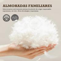 Plumón de plumas orgánico almohadas 50x75 Paquete de 2 Unidades, Lujosa almohada para dormir de hotel de 3 cámaras, Almohada 50x75 cm plumón con funda 100% algodón y relleno de plumón de ganso, Blanco - details 3