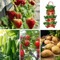 Bolsas para cultivo de fresas, suministros de plantación de jardín de alta resistencia con mango para patios traseros, terrac y - details 4