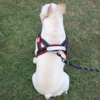 Chaleco con arnés ajustable para perro, cómodo chaleco reflectante a prueba de explosiones con correa para el pecho para perro, resistente al desgaste, Bulldog Francés - details 10