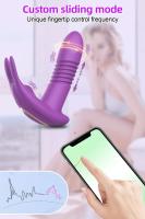 Vibrador Controlado por APP Potente Estimulador de Clítoris y Punto G para Mujeres - details 17