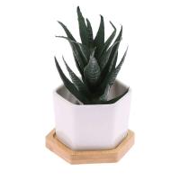 Bandeja de cerámica hexagonal blanca simple europea ETA, contenedor de plantas jugosas, bonsai pequeño ETA - details 20