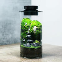 Lámpara de cultivo de plantas de terrario USB regulable con temporizador para jarrones, crecimiento de plantas de interior, suculentas, paisaje de jardinería en miniatura - details 8