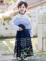 Conjunto de Falda Hanfu para Niñas Otoño 2025 Traje de Estilo Chino Antiguo para Actuaciones de Recitación Zapatos y Ropa - details 21