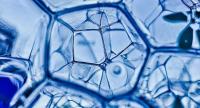 molecule
