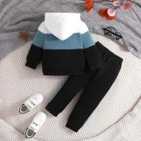 Traje De Niño Colorblock 2-7 Años Abrigo Con Capucha Camiseta De Manga Larga Y Pantalones Outerwear Moda Infantil - details 2