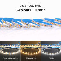 Tira de luces LED CCT, 5M, 2835, 5mm, 8mm, cc 5V, WW, CW, temperatura de Color, cinta Flexible ajustable, Fita - details 2