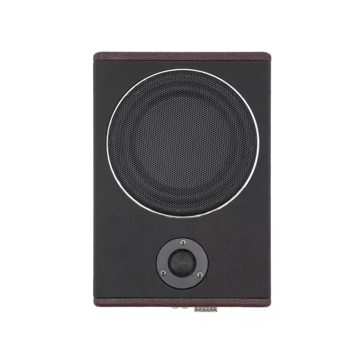 AMPLIFICADOR DE graves delgado para debajo del asiento del coche, altavoz de alta potencia de 8 pulgadas, 600W - 1