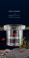 Caja de aislamiento de cría de peces flotante acrílica, suspensión transparente, alimentador de acuario, alimentación Ornamental - details 4