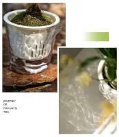Nuevo estilo, maceta transparente transpirable con autorriego, maceta transparente para jardín, macetas de plástico para plantas - details 7
