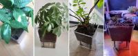 Maceta de flores transparente para jardín, maceta de plástico con autorriego, macetas transparentes para plantas de interior - details 7