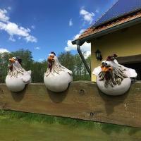 Decoración de valla de pollo divertida para jardín, granja, escultura de gallina, artesanía de arte - details 0