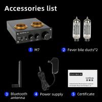 Amplificador de tubo Bluetooth PJ. Miao Olai M7 Preamplificador HiFi 6k4 tubo - details 10