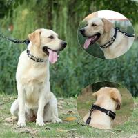 Collar con punta para perro, accesorio estable de acero inoxidable, sin tirones, con cubierta de nailon, para entrenar perros grandes - details 4