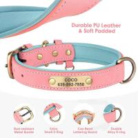 identificación perro personalizado con correa, Collar correa de cuero PU acolchado suave perros, etiqueta antipérdida para - details 4