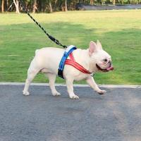 Arnés ajustable para perro, chaleco cómodo reflectante, correa para el pecho para perro, chaleco para mascota resistente a la explosión, Bulldog Francés - details 1