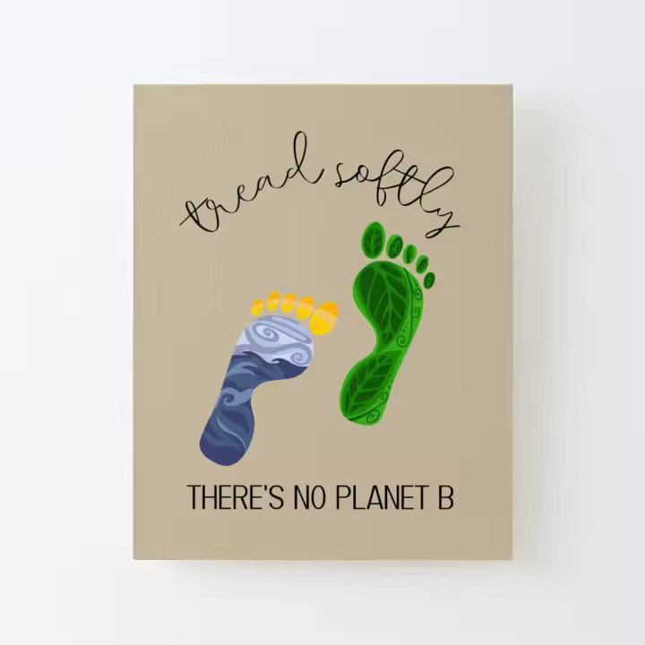 Pisa con cuidado, no existe el planeta B Lienzo Impreso Marco de Kit DIY 40x50cm - 1