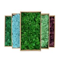 Plantas Artificiales de Colores Hierba Siempre Verde Ideal para Decoración de Hogar, Jardín, Habitación Flores Falsas - details 8