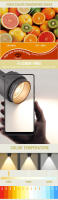 Aladin Luces de Foco Ajustables 2pcs LED PAR20 Luminaria de Aluminio para Restaurante - details 2
