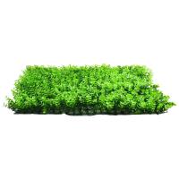 Alfombra cuadrada de plantas artificiales, 40x60 cm, pared verde, valla de césped, panel Foley, plantas de césped, decoración de paredes para hogar y jardín - details 3