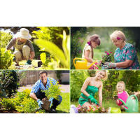 Herramientas de jardín de acero inoxidable, juego de herramientas con tijeras de podar, paleta, trasplantador, rastrillo de mano, guantes de jardinería (750, 5) - details 0