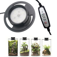 Lámpara de cultivo de plantas de terrario USB regulable con temporizador para jarrones, crecimiento de plantas de interior, suculentas, paisaje de jardinería en miniatura - details 0