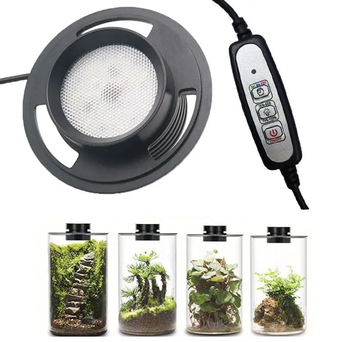 Lámpara de cultivo de plantas de terrario USB regulable con temporizador para jarrones, crecimiento de plantas de interior, suculentas, paisaje de jardinería en miniatura - 1