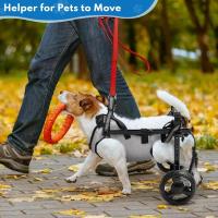 Silla de Ruedas Ajustable para Perros Pequeños Diseño Ligero en Aluminio y Polipropileno - details 0