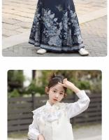 Conjunto de falda con cara de caballo de gama alta, disfraz antiguo de verano para niña pequeña, estilo chino Tang Hanfu, novedad de 2025 - details 4