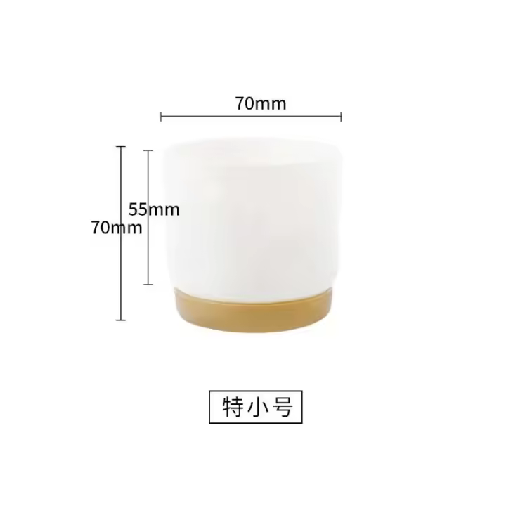 Riego automático ETA, absorción automática de luz, ETE jugoso redondo de doble capa, ETA pequeña de planta verde - 1