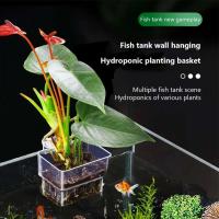 Burbujas acuario agua hierba taza múltiples plantas hidropónicas cesta de plantación hidropónica para paisaje de pecera - details 3