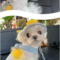 Conjunto de arnés y correa para perro pequeño, ropa de tres piezas con sombrero, chaleco de verano para mascotas - details 2