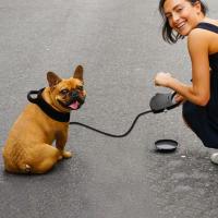 Correa retráctil desmontable para perro, correa de plástico con cuenco de agua, correa de mano para perro, botella de agua integrada, cuerda de tracción para perro, entrenamiento - details 5