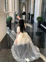 2025 Nueva princesa de media mariposa con palabras de amor, vestido de cola fina y brillante de jacquard, vestido de cumpleaños - details 17