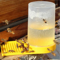 Alimentador de agua para abejas, dispensador, bebedero, equipo de apicultura para exterior, colmena, apicultura - details 4