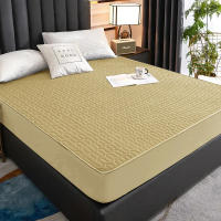 Funda de Colchón Impermeable Protector de Almohada de Color Sólido Tamaño Único/Doble/140/160 - details 16