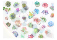 Pegatinas de Scrapbooking Kawaii de Plantas Succulentas en PVC Transparente 6 Hojas/Paquete Decoración para Diario y Papelería de Marca nbyinto - details 8