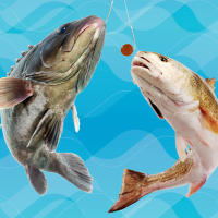 Señuelo de pesca suave con olor, alimentador de cuentas de bola flotante para pesca de Tilapia y carpa cruciana - details 1
