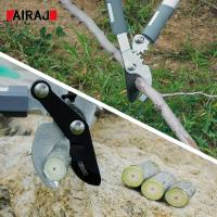 Tijeras de Podar Profesionales Equipo de Jardinería para Plantas Bonsái - details 2