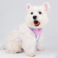 Conjunto de arnés y correa ajustable para perro, chaqueta de malla suave acolchada para gato, arnés transpirable con cuerda de tracción, juego de correa y collares para perro - details 11