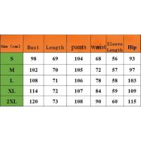 Autumn and Winter Fashionable Casual Sports Suit Long Sleeved V-neck Sweatshirt Wide Leg Pants Two-piece Set for Women - details 0