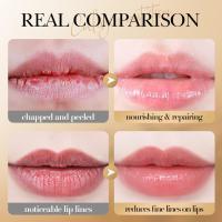 1/3/5/10 Uds bálsamo labial de colágeno otoño e invierno bálsamo labial hidratante antigrietas mejora la hidratación rellena antienvejecimiento - details 5