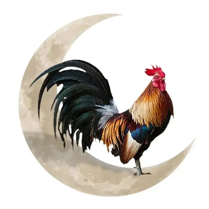 Letrero de Metal para colgar en la pared, decoración de pared de luna de gallo, artes únicas para casa de granja, decoración de jardín, 35x35cm - 1