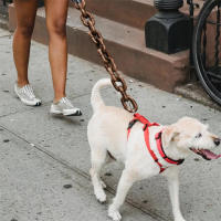 Cadena de simulación de plástico para perros y mascotas, cuerda de rastreo de mascotas, accesorios de Halloween, ligera, 1,5/3m - details 2