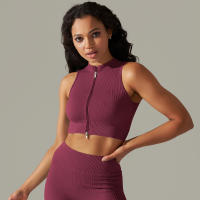 Hamidou-Sujetador deportivo con cremallera para mujer, Top de Yoga, chaleco de sudor, chaqueta de entrenamiento para correr, chaquetas sin mangas para correr, Tops cortos elásticos ajustados - details 8