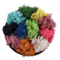 Plantas verdes artificiales para sala de estar, flores falsas, adornos para el hogar, musgo eterno, decoración de jardín, musgo de plantas artificiales, 20g - details 6