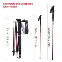 Palos de Senderismo PIONEER 2pcs Ultra Ligeros y Plegables para Trekking Nórdico en Aluminio Carbono y Tungsteno - details 2