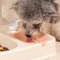 Dispensador de agua de comida de Gato de plástico, gran capacidad, desmontable, botella de fuente para mascotas, cuenco portátil engrosado - details 11
