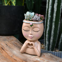 Amor europeo transfronterizo chica medio cuerpo suculenta planta verde maceta almacenamiento en el hogar patio jardín decoración de alta gama - details 10